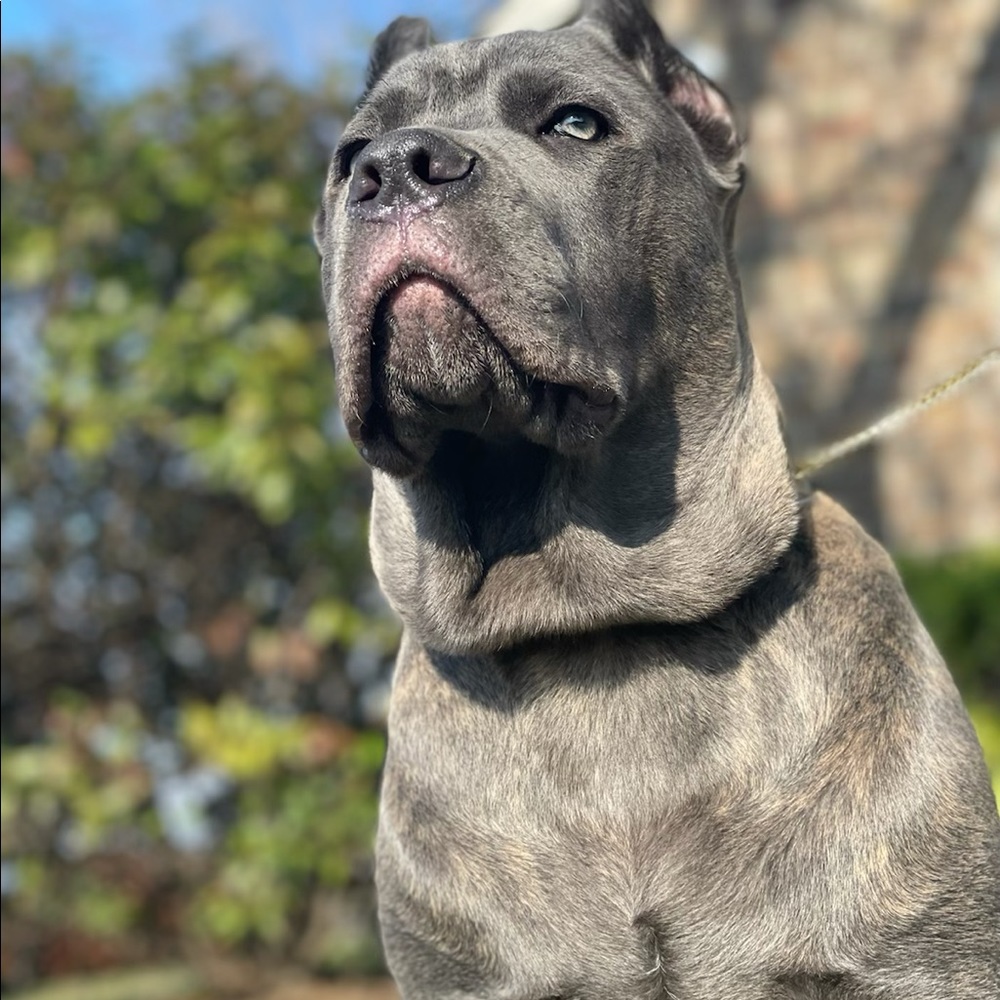 Meet your Posher, Aron